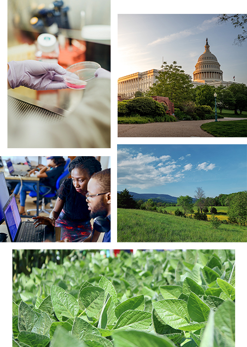 A collage of images related to the Cooperative Ecosystems Studies Unit, including laboratory research, the US Capitol building, farms and agriculture, and researchers.
