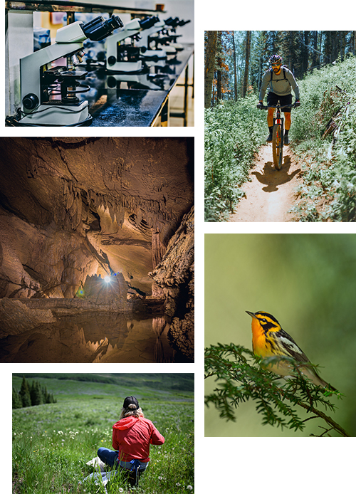 A collage of images related to the work of this Unit, including research, outdoor recreation, cave ecosystems, and inventorying.